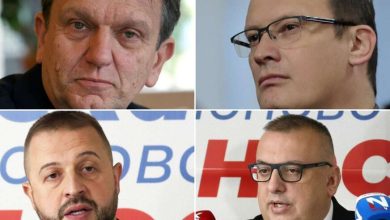 Sjednica GO SDS-a: U fokusu Blanuša i unutarstranački izbori