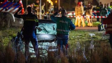 Epilog nesreće u Holandiji