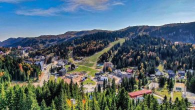 Elek dao 3,5 miliona firmi koja krije finansije