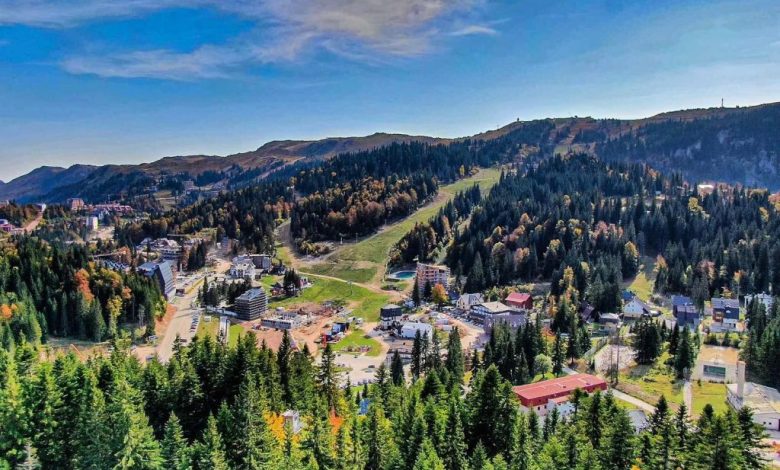 Elek dao 3,5 miliona firmi koja krije finansije