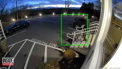 Filmska krađa u Americi osumnjičen odbjegli Srbin