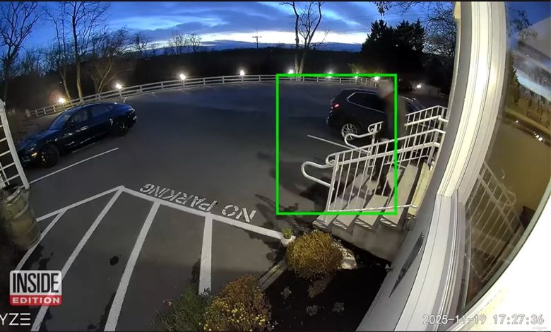 Filmska krađa u Americi osumnjičen odbjegli Srbin