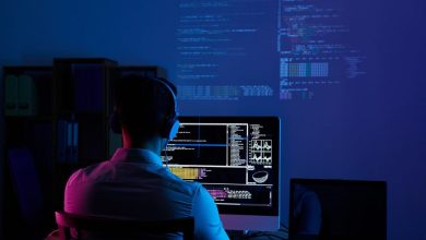 Vlada novim softverom rješava kolaps