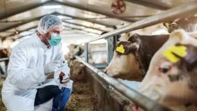 Šipovo pod nadzorom zbog antraksa