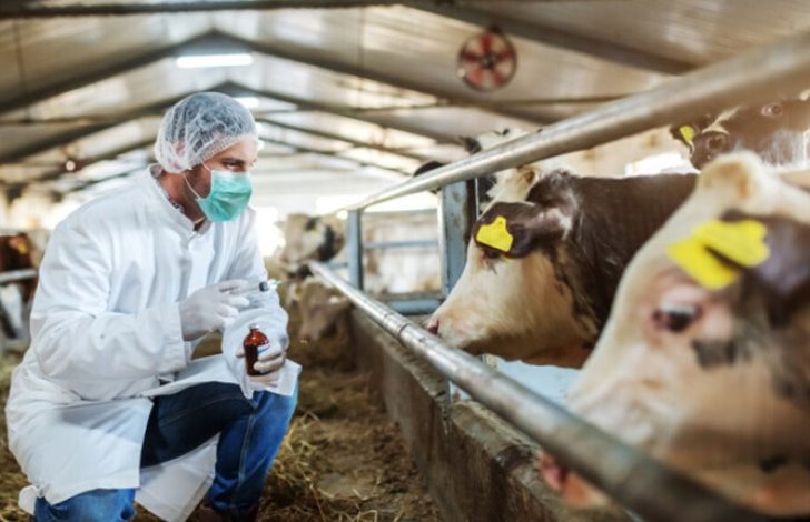 Šipovo pod nadzorom zbog antraksa