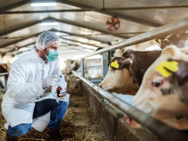 Šipovo pod nadzorom zbog antraksa