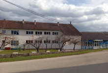 SNSD direktor škole krao drva