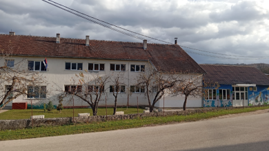 SNSD direktor škole krao drva