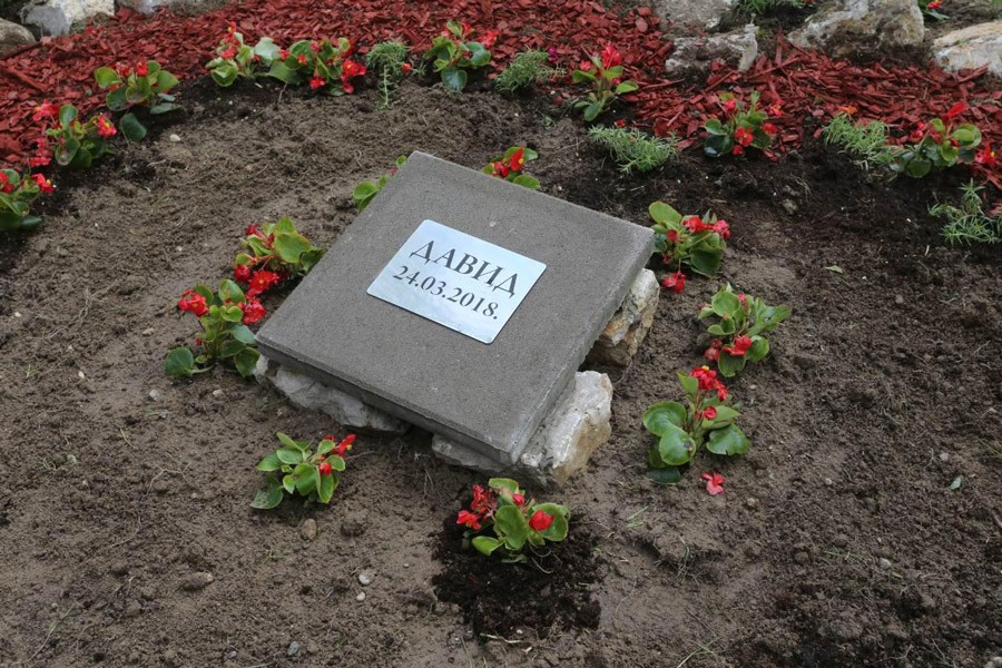 Foto: Goran Šurlan/RAS Srbija