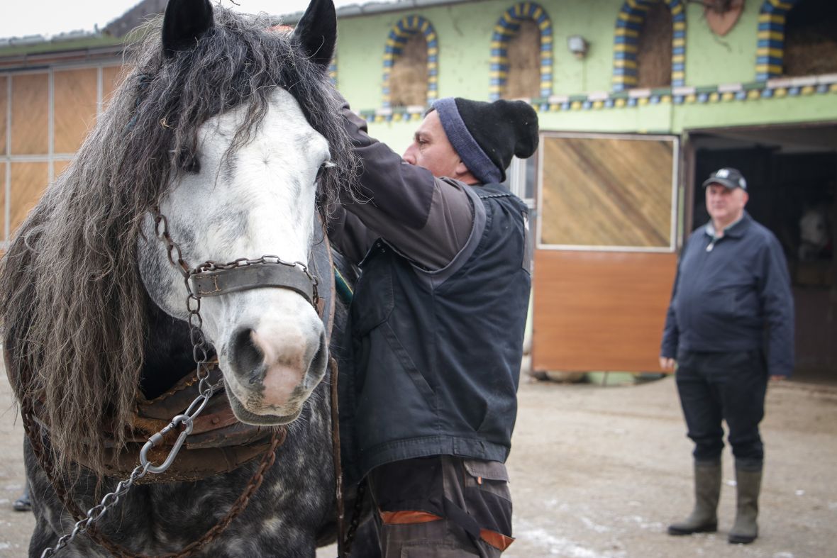 Foto: AA/Mihad IriÅ¡kiÄ iz Prnjavora ranÄ "Zelena dolina" osnovao je prije 36 godina
