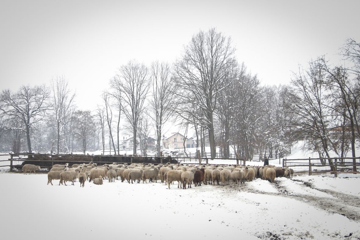 Foto: AA/Mihad IriÅ¡kiÄ iz Prnjavora ranÄ "Zelena dolina" osnovao je prije 36 godina