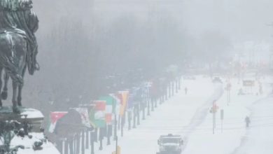 Smrtonosna zima paralizovala Ameriku – više od 80 žrtava