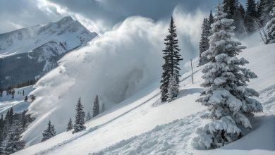 Tragedije na skijanju u Austriji: Najmanje osam poginulih u lavinama