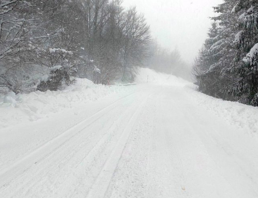 Marčeta: Put Drvar – Istočni Drvar nije očišćen, nadležni ne reaguju