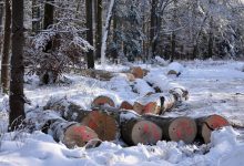 Radnici „Šuma“ ponovo na čekanju