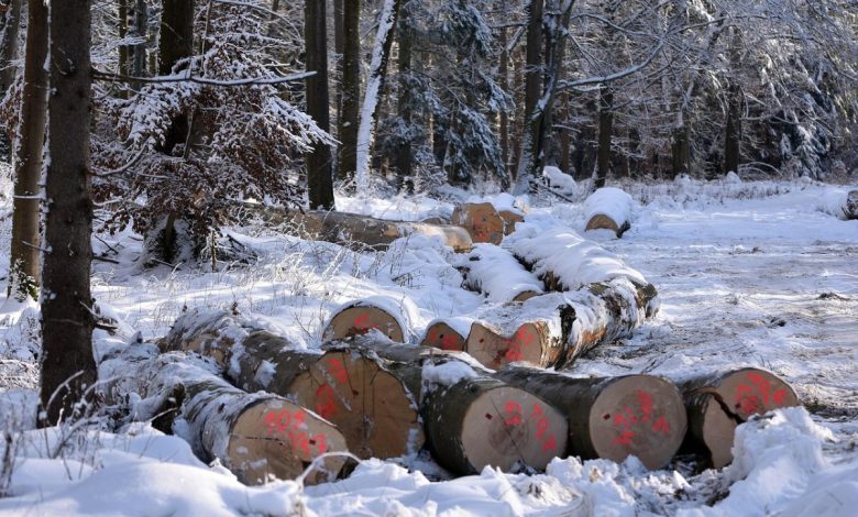 Radnici „Šuma“ ponovo na čekanju