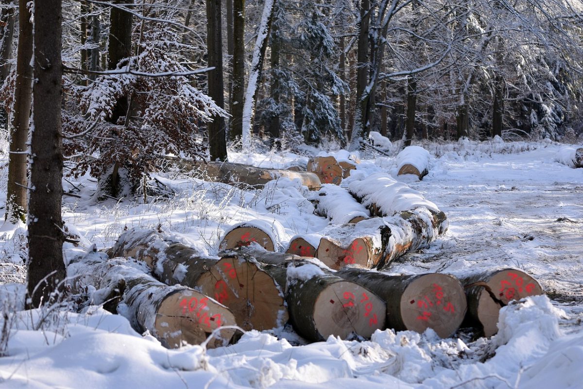 Radnici „Šuma“ ponovo na čekanju