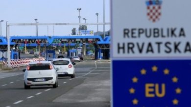 Paprene kazne na granicama: Šta smijete, a šta ne smijete unositi u EU