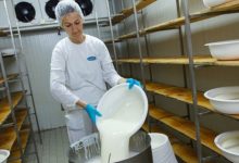 Mljekari dali rok za ispunjenje zahtjeva