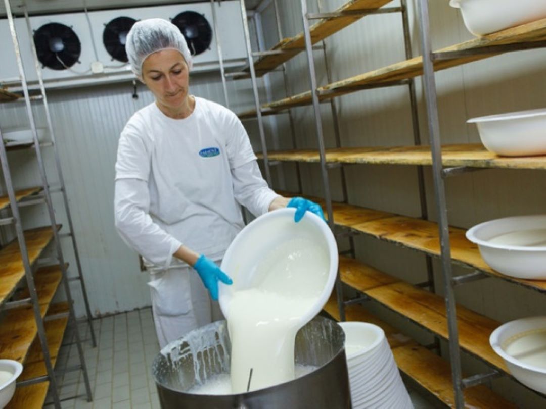 Mljekari dali rok za ispunjenje zahtjeva