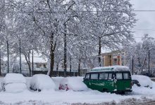 Tragedija u Sarajevu: Palo drvo na ženu, umrla u bolnici