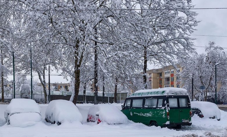 Tragedija u Sarajevu: Palo drvo na ženu, umrla u bolnici