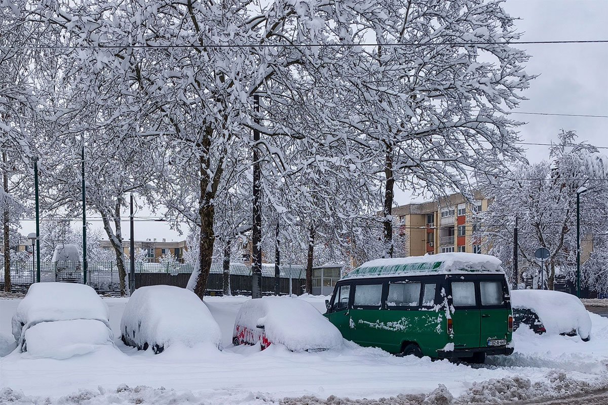 Tragedija u Sarajevu: Palo drvo na ženu, umrla u bolnici