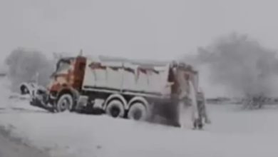 Kolaps u Srbiji: Snijeg napravio haos