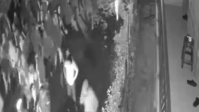 Jezivi snimak iz Tuzle: Torcida s palicama kreće na Delije