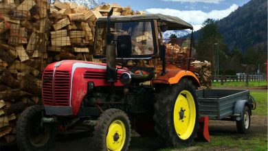 Otac osuđen jer je sina (13) iskorištavao za rad