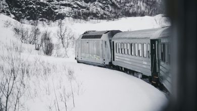 Putnici od sinoć zarobljeni u vozu