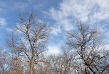 Kakvo nas vrijeme očekuje danas