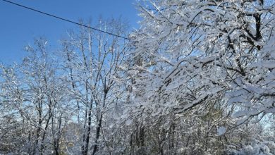 Sladić najavio: Leden početak sedmice, nakon toga velika promjena