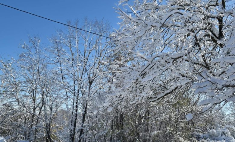 Sladić najavio: Leden početak sedmice, nakon toga velika promjena