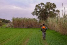 Nastavlja se rat za lovište Manjača
