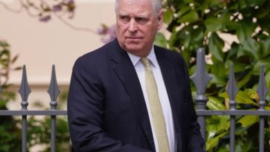 Endru javnim novcem plaćao susrete sa Epstinom?