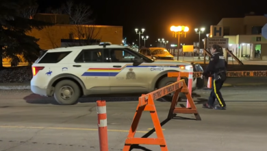 Identifikovana žena napadač: Novi detalji horora u Kanadi