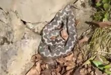 Poskok snimljen u Banjaluci, profesor pojasnio šta treba raditi