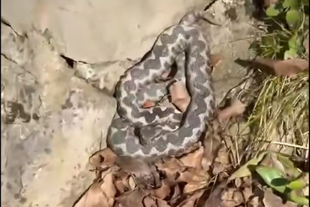 Poskok snimljen u Banjaluci, profesor pojasnio šta treba raditi