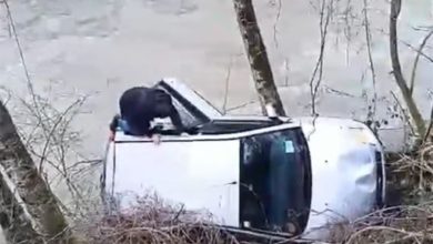 Spasio muškarca koji je sletio u rijeku: "Od danas je Ivica moj brat"