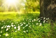 Danas sunčano i toplije