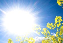 Vedro jutro, postepeno toplije tokom dana