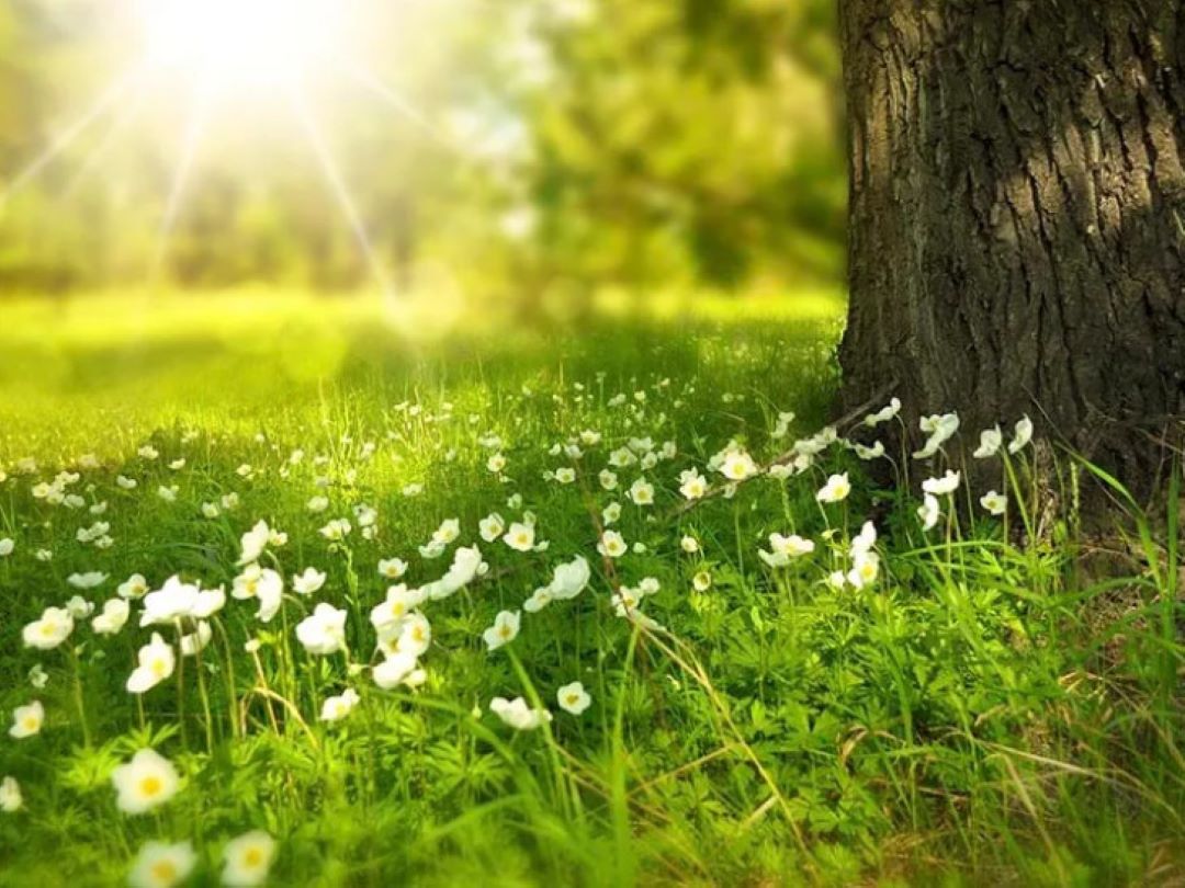 Danas sunčano i toplije