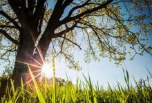 Nagli skok temperature širom Srpske