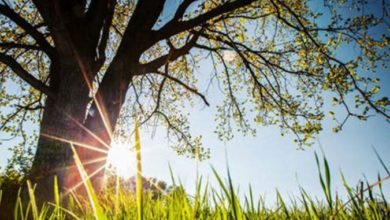 Nagli skok temperature širom Srpske