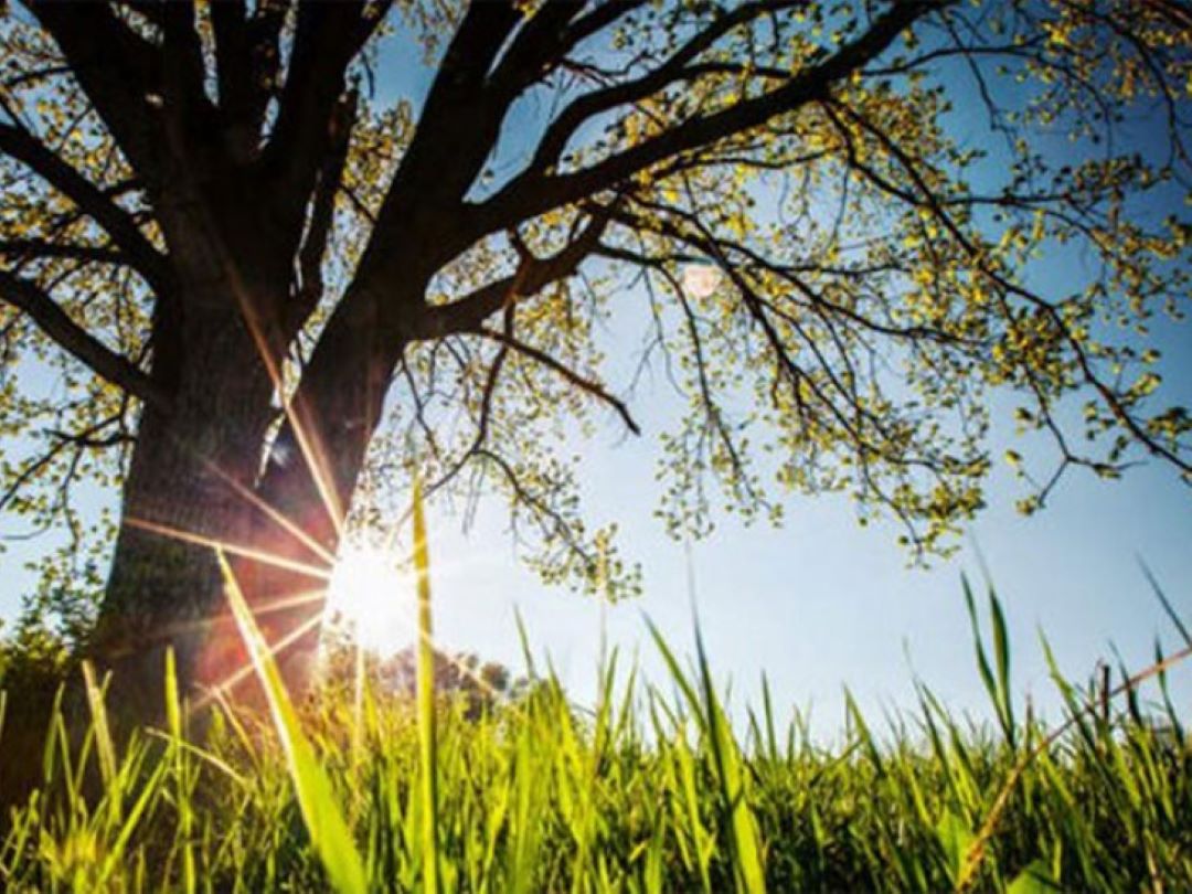 Nagli skok temperature širom Srpske