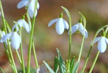 Stiže još topliji dan, ali i naoblačenje sa sjevera