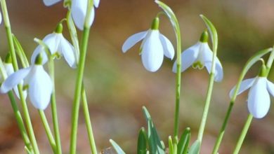 Stiže još topliji dan, ali i naoblačenje sa sjevera