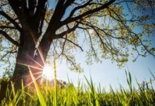 Vrijeme sunčano i toplije od prosjeka