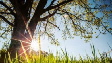 Vrijeme sunčano i toplije od prosjeka